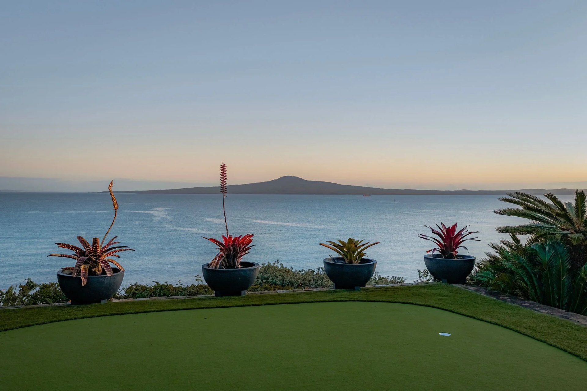 Flower with sea view